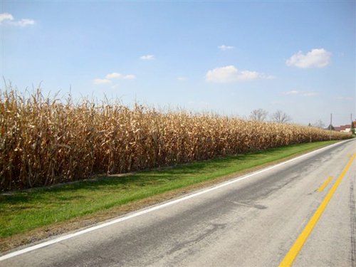 Property photo 3 - 145+/- Acres Offered in 6 Tracts Real Estate Auction